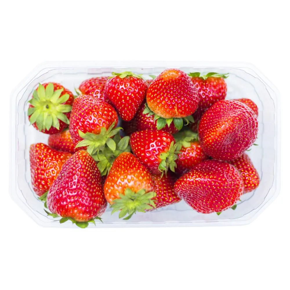 Fresa Extra 500 gr